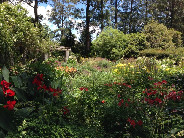 Bright colours in the Formal Garden at Mount Tomah Botanic Garden