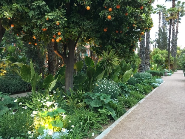 I loved the simplicity of the white garden beneath the fertile orange trees. Especially because it was so abundant! At La Mamounia