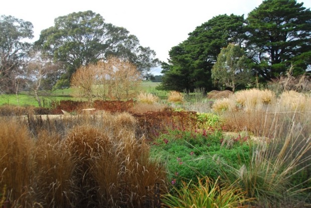 The garden as it slows down for winter. Photo: Michael McCoy