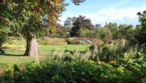 Looking out towards the Floral Labyrinth at Trentham Gardens